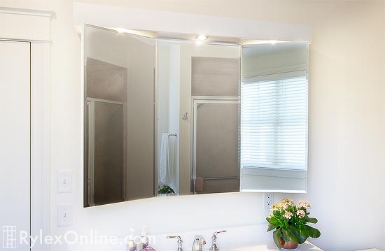 Full View Bathroom Vanity Mirror