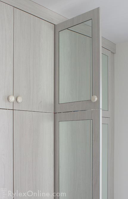 Porcelain Cabinet Knobs and Mirrored Doors Close Up