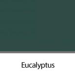 Eucalyptus Ultra Matt Color
