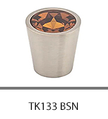 TK133 BSN